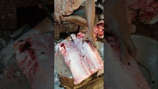 Fish Cutting Skills  Amazing 20KG Giant Spotted Grouper Fish Cutting Live  Part2 shorts fish [upl. by Inohtna766]