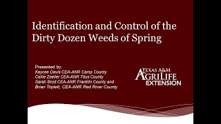 Identification and Control of the Dirty Dozen Weeds of Spring Quad Co Cattlemens 5 15 20 [upl. by Anirac]