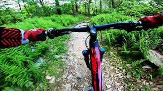 Blue Mountain Bike Park Highlights  Palmerton PA [upl. by Zwiebel]