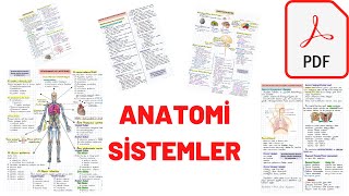 Anatomi  Sistemler  Hemşirelik  2 PDF Notu 👇 Instagram zeynepabanozz [upl. by Milurd]