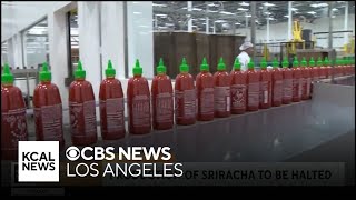 Sriracha production is halted until after Labor Day [upl. by Siramed]