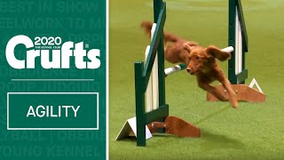 Agility  Championship Final  Crufts 2020 [upl. by Jeannie995]