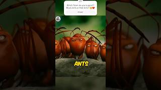 Black Ants Vs Red Ants Which team do you support ❤️🤔 shorts [upl. by Eelrebma]