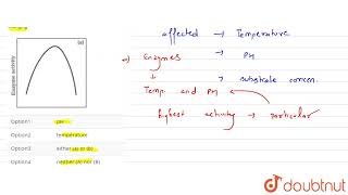 The following graph represents enzyme activity with changing  CLASS 12  NTA NEET TEST 81  BI [upl. by Nayab581]