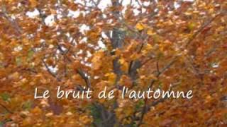 Vent dautomne  Bruit dautomne  Feuilles dautomne [upl. by Talyah]