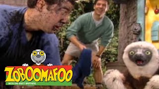 Zoboomafoo with the Kratt Brothers ARMOUR  Full Episodes Compilation [upl. by Letti]