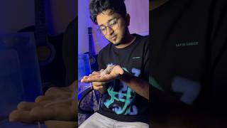 Unboxing silver mice 🐁🫠 telugu guntakal ytshorts trendingshorts viralshorts hamsters mice [upl. by Verena699]