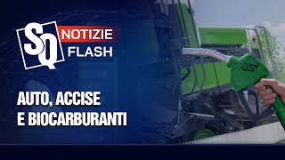 AUTO ACCISE E BIOCARBURANTI  Notizie Flash del 5112024 [upl. by Lareine88]