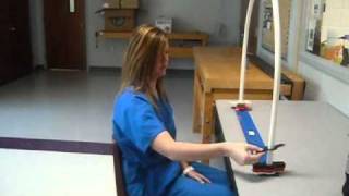 Occupational Therapy amp Therapeutic Activities [upl. by Oca850]