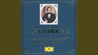 Schubert Winterreise D 911 No 13 Die Post [upl. by Neeroc]