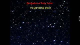 Elongation and desaturation of Fatty acid  Arachidonic Acid formation [upl. by Boj]