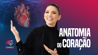 Anatomia do Coração [upl. by Ayrad]