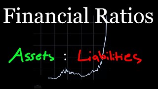 WTF are Financial Ratios [upl. by Nodababus]