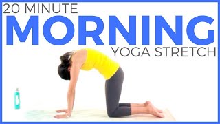 20 minute Morning Yoga Stretch  Sarah Beth Yoga [upl. by Erlina]