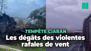 La tempête Ciaran a frappé le nordouest de la France [upl. by Adelle956]