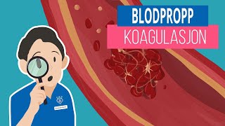 BLODPROPP amp KOAGULASJON [upl. by Anawahs]