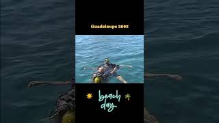 Guadeloupe A Paradise in the Caribbean Guadeloupe traveling beach scubadiving shortvideo [upl. by Enaamuj]