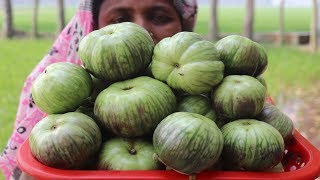 Delicious Kamranga Begun Bahar Recipe Farm Fresh Eggplant Cooking Fresh Brinjal Recipe Village Food [upl. by Anayhd]