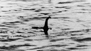 This Is the Biggest Loch Ness Monster Search in 50 Years [upl. by Imeon]