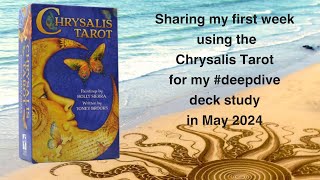 The Chrysalis Tarot week 1 of my deck study [upl. by Anelet]