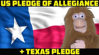 US and Texas Pledge of Allegiance for children preschool and kindergarten [upl. by Sturges]