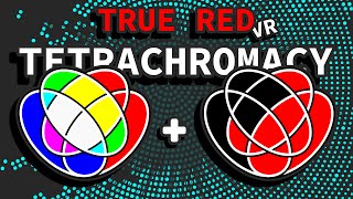 How to Achieve True Red Cone Tetrachromacy VR [upl. by Gnouh]