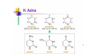 KO2 Senyawa Heterosiklik Aromatik Kuinolina Isokuinolina Azina Azina Terkondensasi dan Lainnya [upl. by Harat]