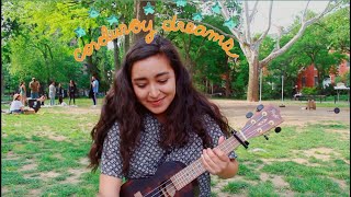 Corduroy Dreams  Rex Orange County ukulele cover [upl. by Eldoree141]