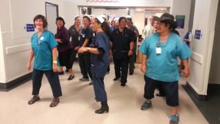 FlashMob Dance  International Nurses Day 2016 [upl. by Noramac]