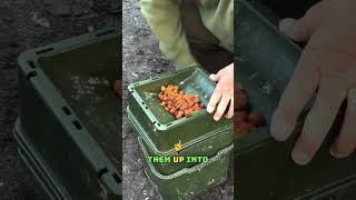 Carp Fishing Winter Tip Use Boilie Crumb [upl. by Elisee655]