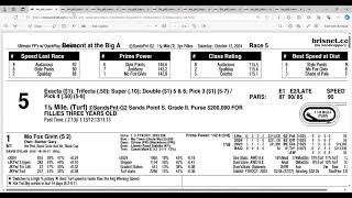 2024 Sands Point Stakes Analysis and Picks  Belmont at Aqueduct [upl. by Ijnek]