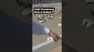 Inilah Pemakaman Mala di Kota Mekkah Arab Saudi shorts makammaladimekkah [upl. by Garwood]