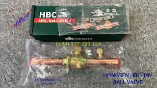 HONGSEN HBC19V Ball Valve [upl. by Stiles755]