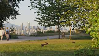 🎧 City Park Sounds Effects From Jericho Beach in Vancouver BC wRabbits Pedestrians Cyclists [upl. by Klingel764]