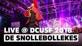 Snollebollekes  Links RechtsFeest Waarvan Ik Morgen Niks Meer Weet  Das Coen Und Sander Fest 2018 [upl. by Yttik]