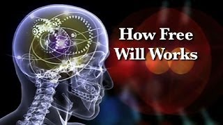 How Free Will Works [upl. by Ajnotal]