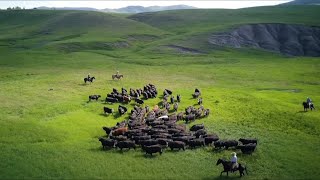 Perspectives on Pastoralism Film Festival 2nd edition  Official Trailer HD [upl. by Ripley]