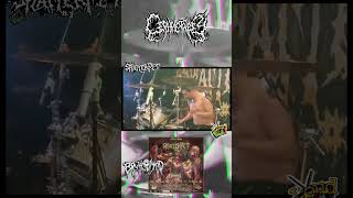 CEPHALOTRIPSY LIVE AT SPLATTER PIT 3 slammingdeathmetal brutaldeathmetal brutalmind splatterpit [upl. by Opportuna]