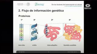 De factores transcripcionales al cáncer ¿cómo se regula la expresión genética [upl. by Alvis122]