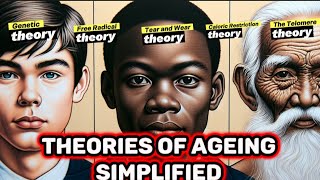 Theories of Ageing simplified [upl. by Orlina]