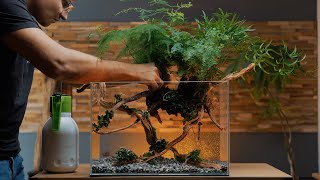 New Luxury Planted Tank for my 3 Years Old Betta  Aquascape Tutorial [upl. by Nelson]