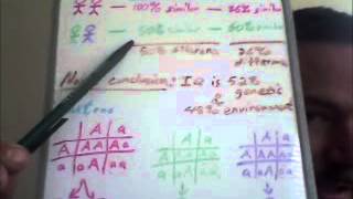 IQ Score  Genes versus Environment [upl. by Cally]