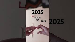 Bye 2024 good Lock [upl. by Evangeline]