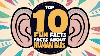 Top 10 Fun Facts About Human Ears [upl. by Narmak]