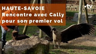 HauteSavoie  Cally prend son envol [upl. by Popele]