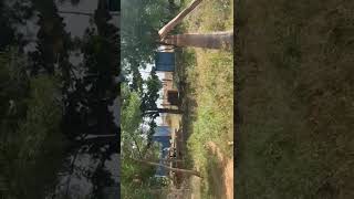 5 Acres Organic Agriculture Land for Lease In Shankarampet Medak Hyderabad [upl. by Ainesell]