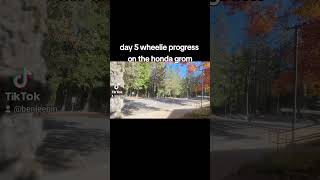 Honda grom wheelie practice progress day 5 [upl. by Iznek338]