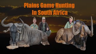 Wildebeest hunting in South Africa [upl. by Ylrac]