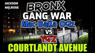 Bronx Gang War  The Start Of The OGz amp The Courtlandt Ave Mac Ballas  JacksonMelrose Houses [upl. by Acemaj]