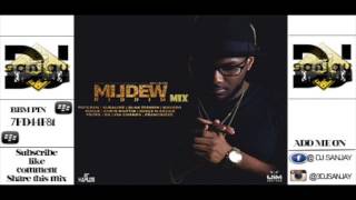 Mildew Riddim Mix March 2015 3DEJSANJAY Mavado Alkaline Chris Martin [upl. by Annodas]